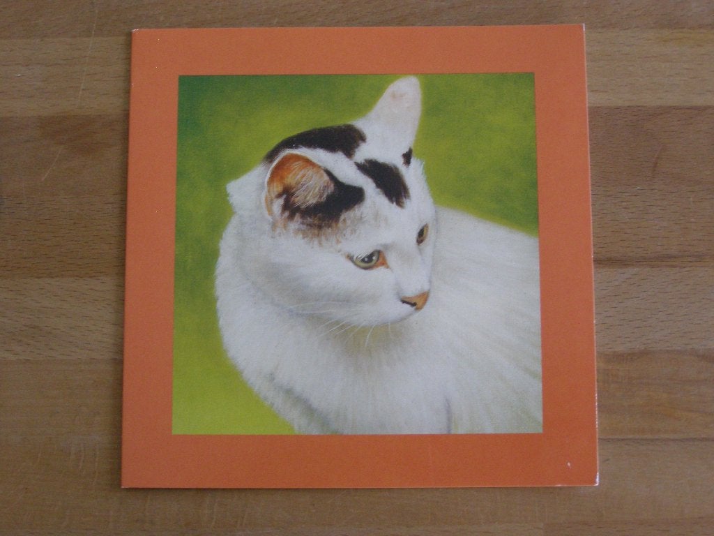 Dubbele kaart met afbeelding van poes / kat; Removos, Ophalen of Verzenden, Nieuw
