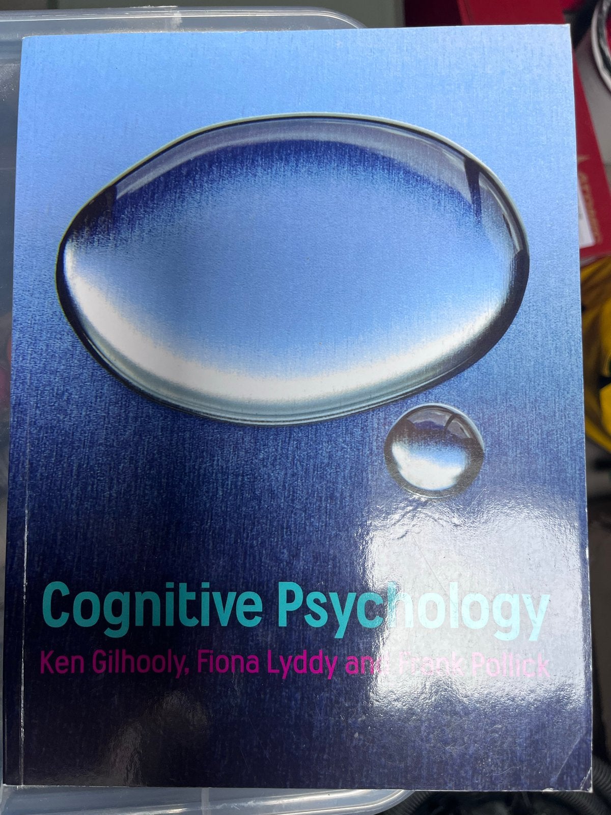 Cognitive Psychology - Ken Gilhooly, Fiona Lyddy, Frank Poll, Ophalen of Verzenden, Zo goed als nieuw, Cognitieve psychologie
