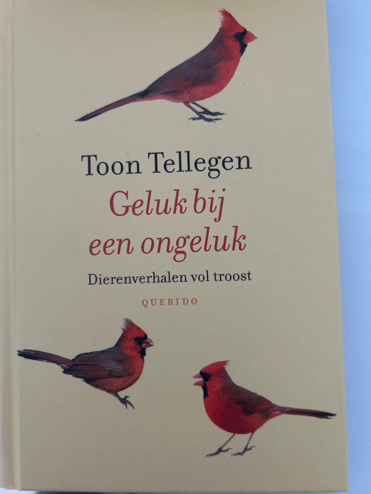 Geluk bij een ongeluk - Toon Tellegen (Dierenverhalen), Ophalen of Verzenden, Zo goed als nieuw, Sprookjes