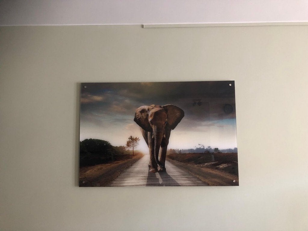 Foto olifant, Ophalen, Zo goed als nieuw, 100 tot 125 cm, Foto of Poster