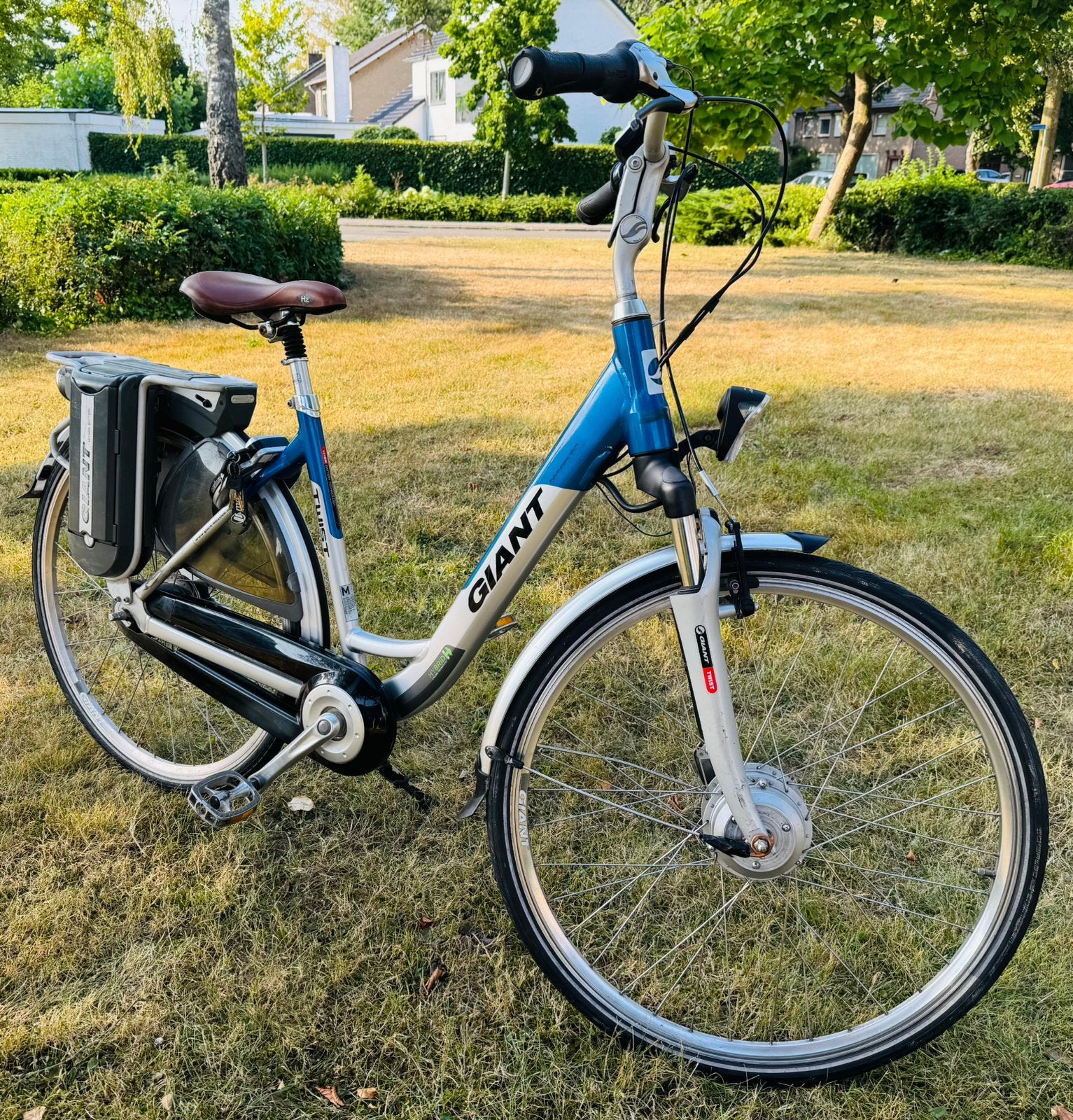 Giant Twist E-Bike - Nette staat - Onderhoud Gehad, 51 tot 55 cm, Ophalen, Zo goed als nieuw, Giant