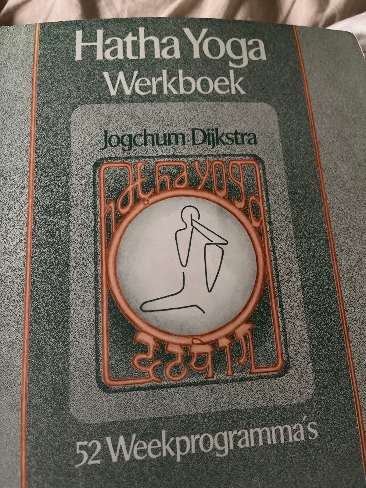 Hatha Yoga Werkboek - Jogchum Dijkstra, Boeken, Ophalen of Verzenden, Gelezen, Meditatie of Yoga, Instructieboek
