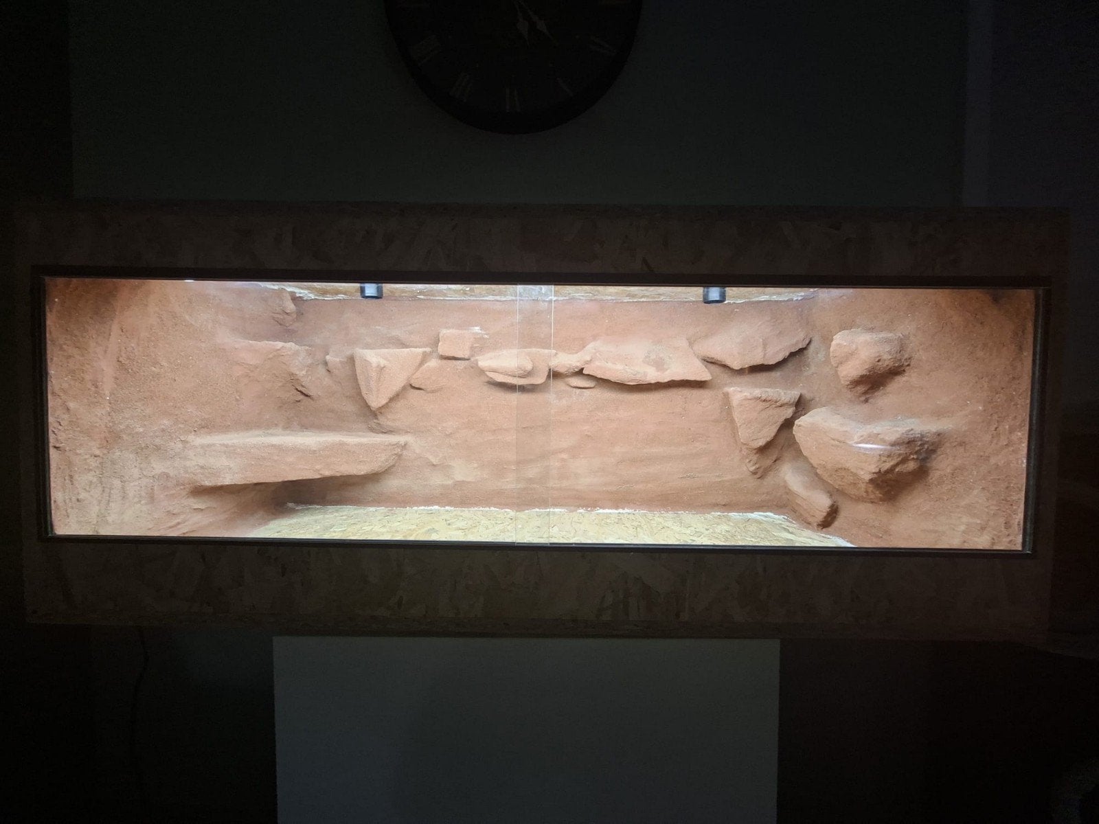 OSB3 Terrarium 120x50x50 cm met rotswanden, Ophalen, Terrarium of Paludarium