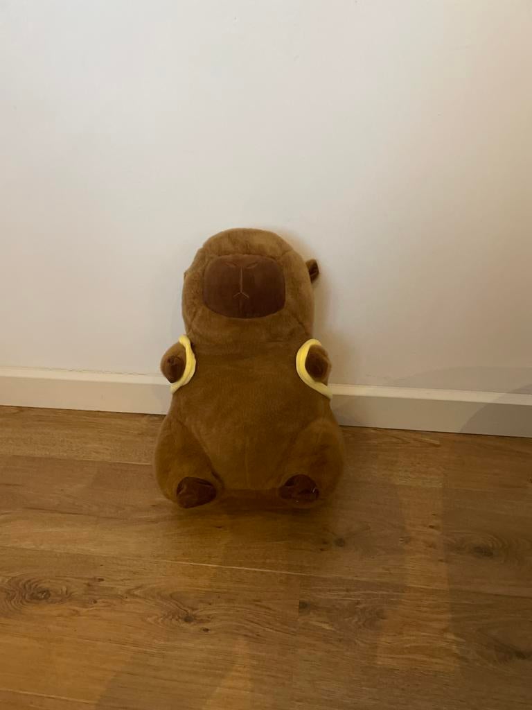 Schattige capybara Knuffel met Bij Rugzakje, Ophalen, Zo goed als nieuw, Overige typen