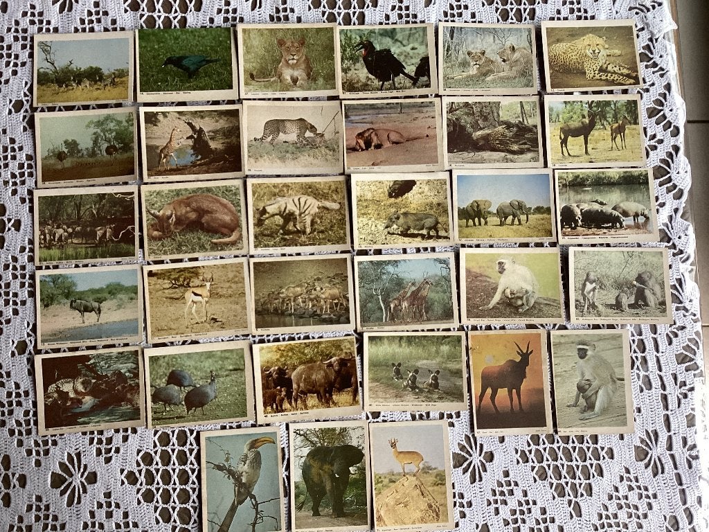 33 plaatjes dieren fauna van MONTY GUM puzzel achterkant, Ophalen of Verzenden, Gebruikt, Meerdere plaatjes