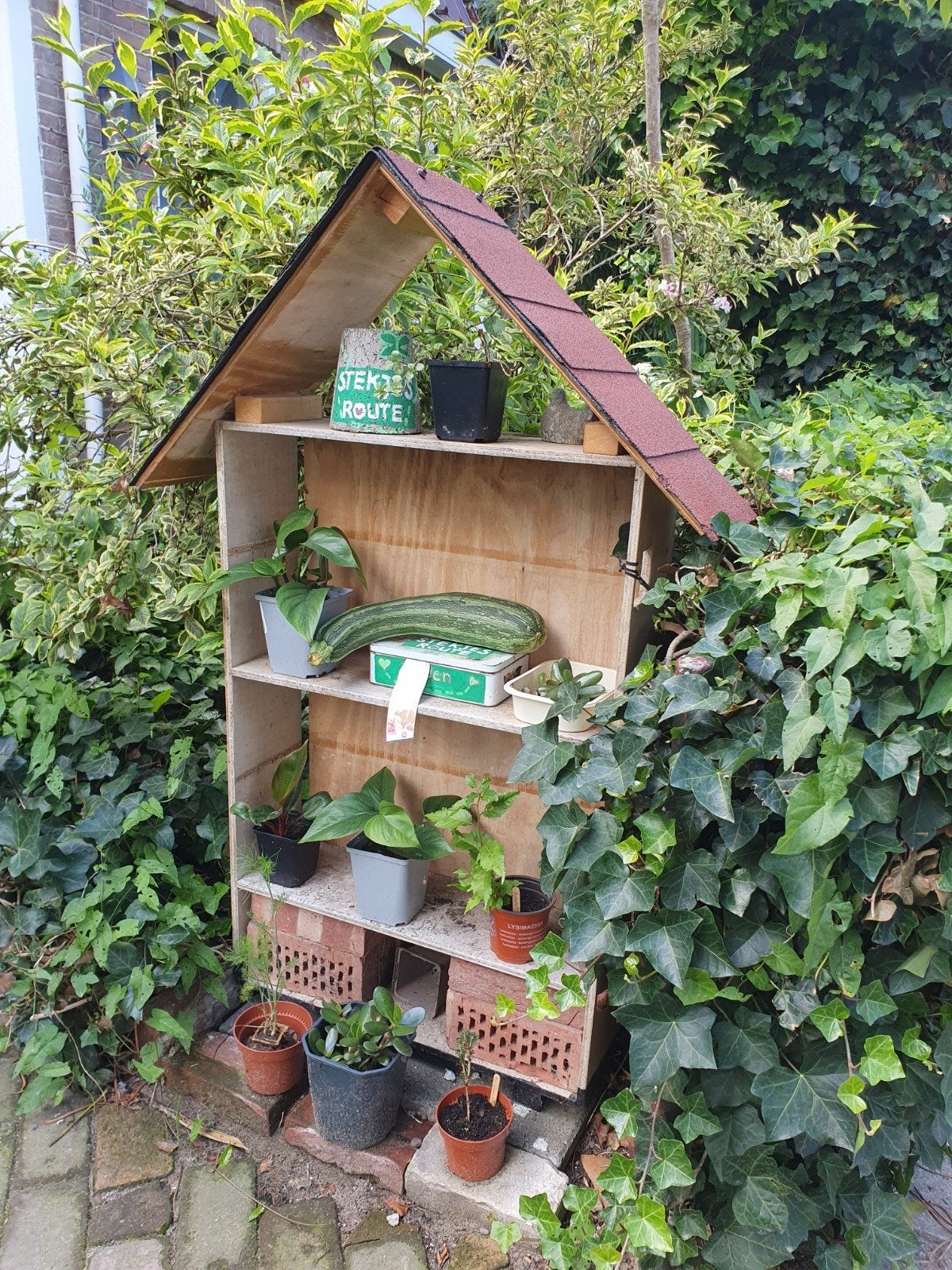 stekjes ruil kast, Tuin en Terras, Ophalen, Nieuw, Overige typen