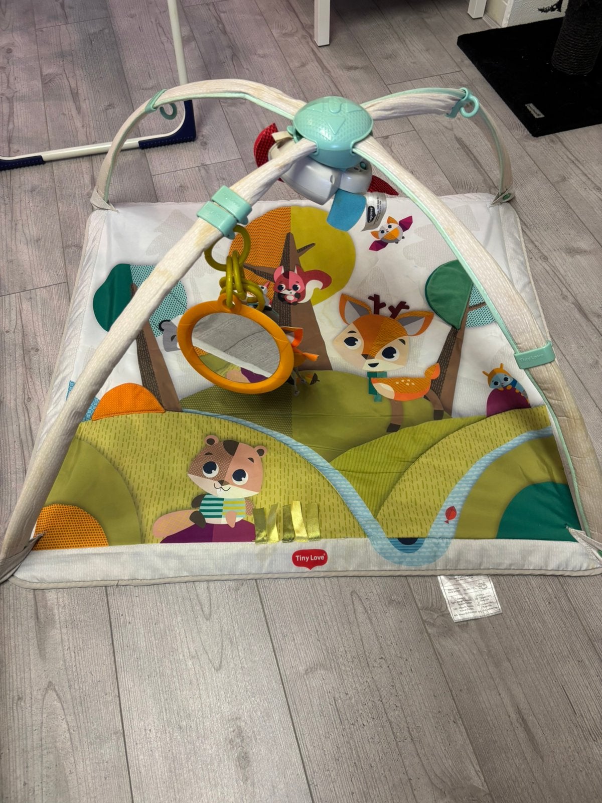 Tiny Love speelkleed met muziek, Ophalen, Gebruikt