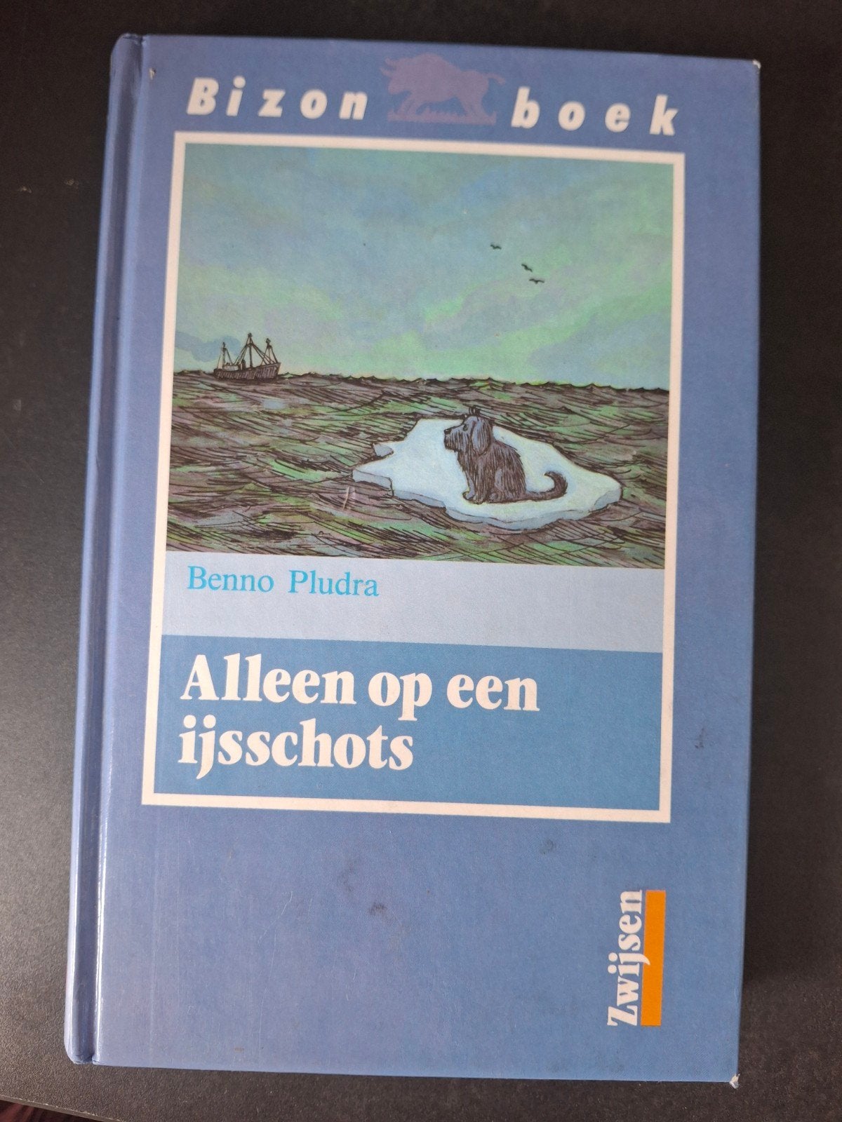 Alleen op een ijsschots, Boeken, Ophalen of Verzenden, Gelezen, Europa