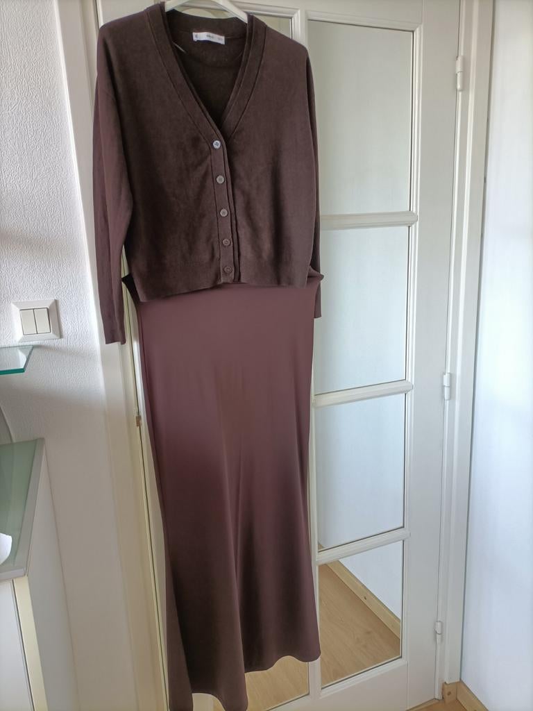 set van een vest Mango m.S, en rok Zara m.M, Ophalen of Verzenden, Zo goed als nieuw, Maat 38/40 (M)