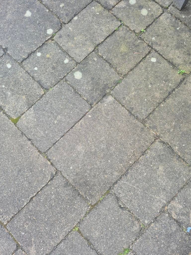50+M2 tuintegels Gratis op te halen, Tuin en Terras, Ophalen of Verzenden