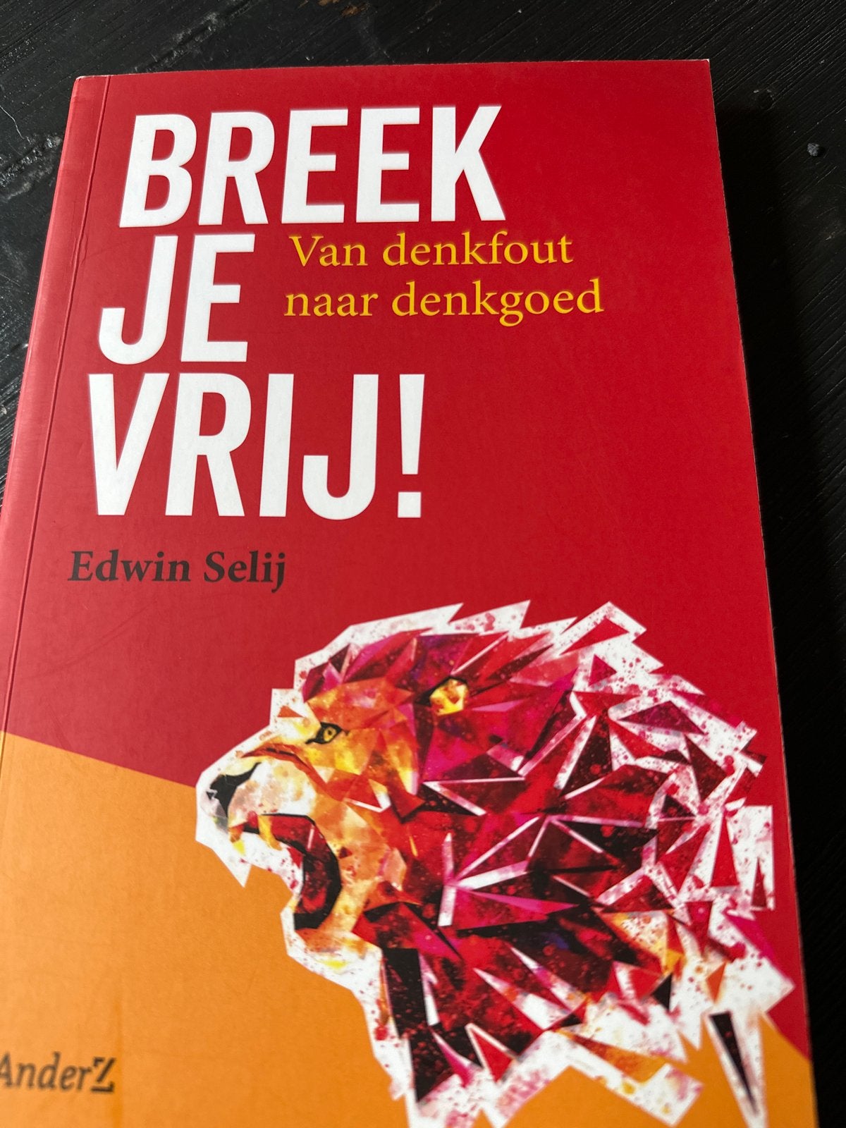 Breek Je Vrij! Van denkfout naar denkgoed - Edwin Selij, Ophalen of Verzenden, Zo goed als nieuw