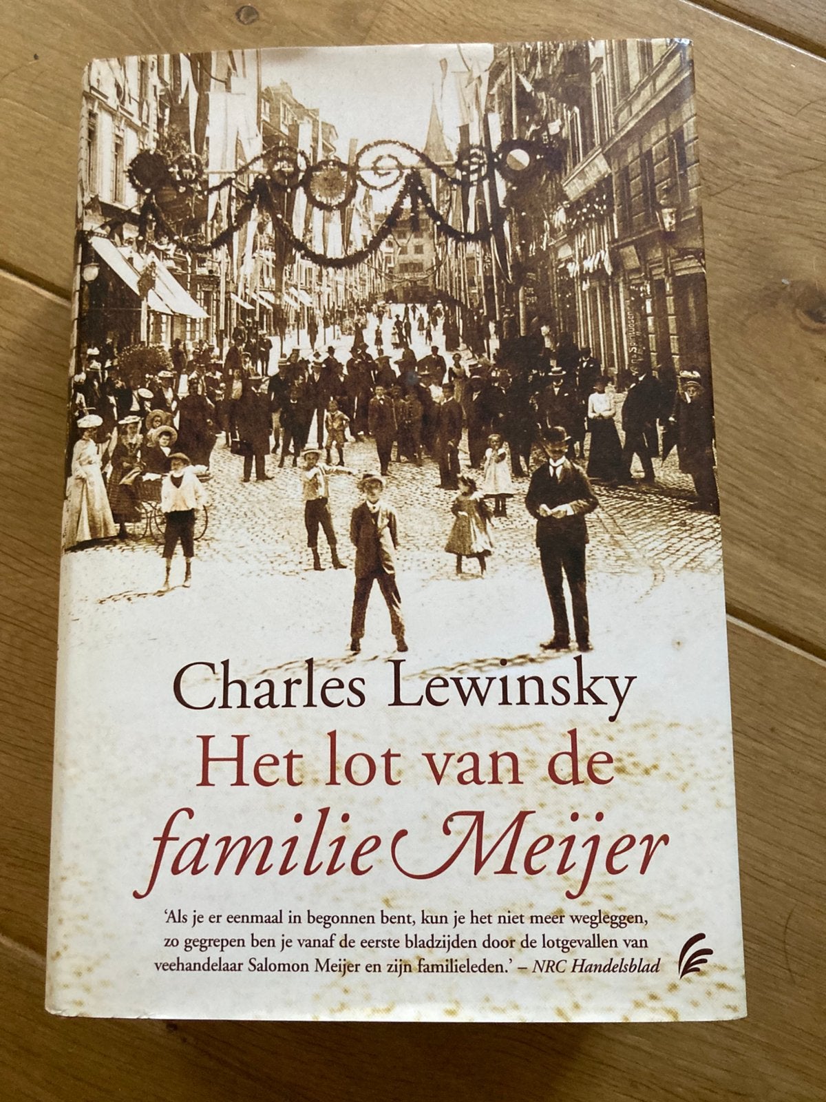 HET LOT VAN DE FAMILIE MEIJER, Boeken, Ophalen of Verzenden, Zo goed als nieuw