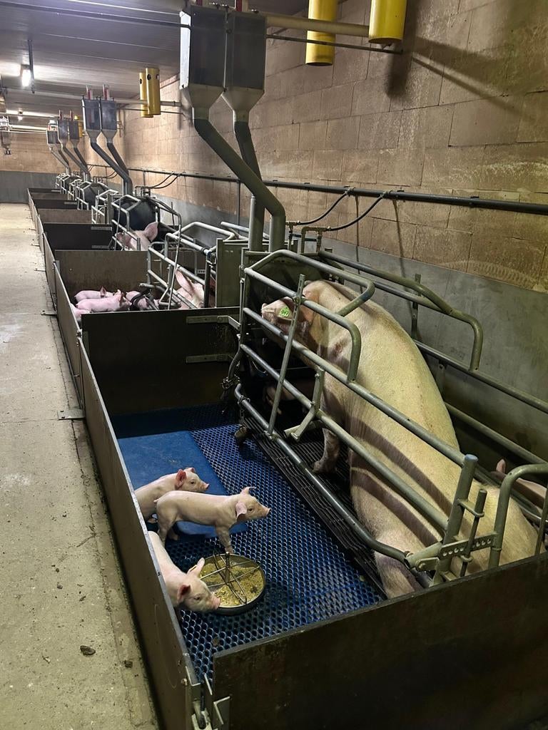 Vicon tc 3001 schijvenmaaier., Dieren en Toebehoren, Meerdere dieren, Varken