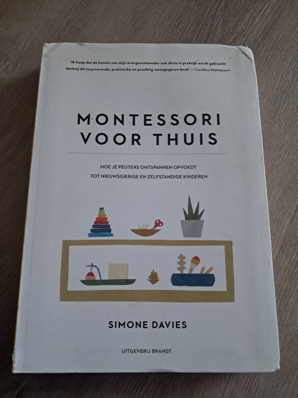 Simone Davies - Montessori voor thuis, Simone Davies, Ophalen of Verzenden, Zo goed als nieuw, Opvoeding tot 6 jaar