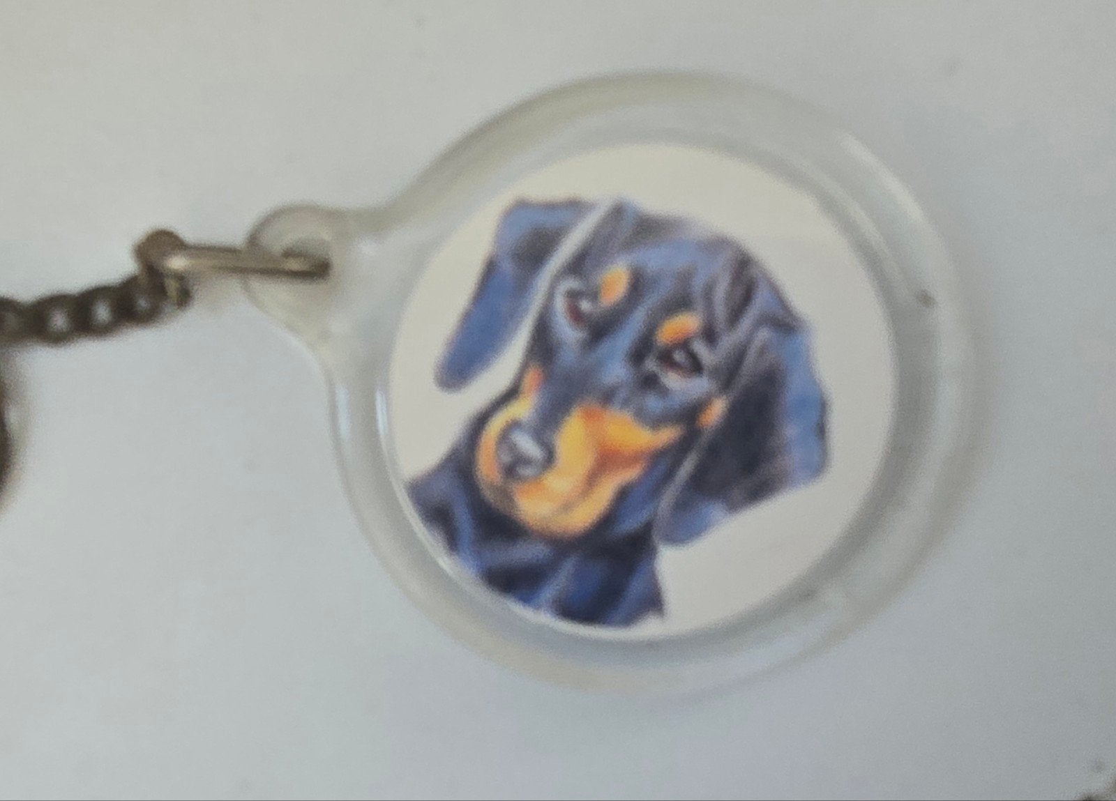 Sleutelhanger Teckel Hond - Leuk Cadeau, Verzamelen, Ophalen of Verzenden, Gebruikt, Dier of Natuur