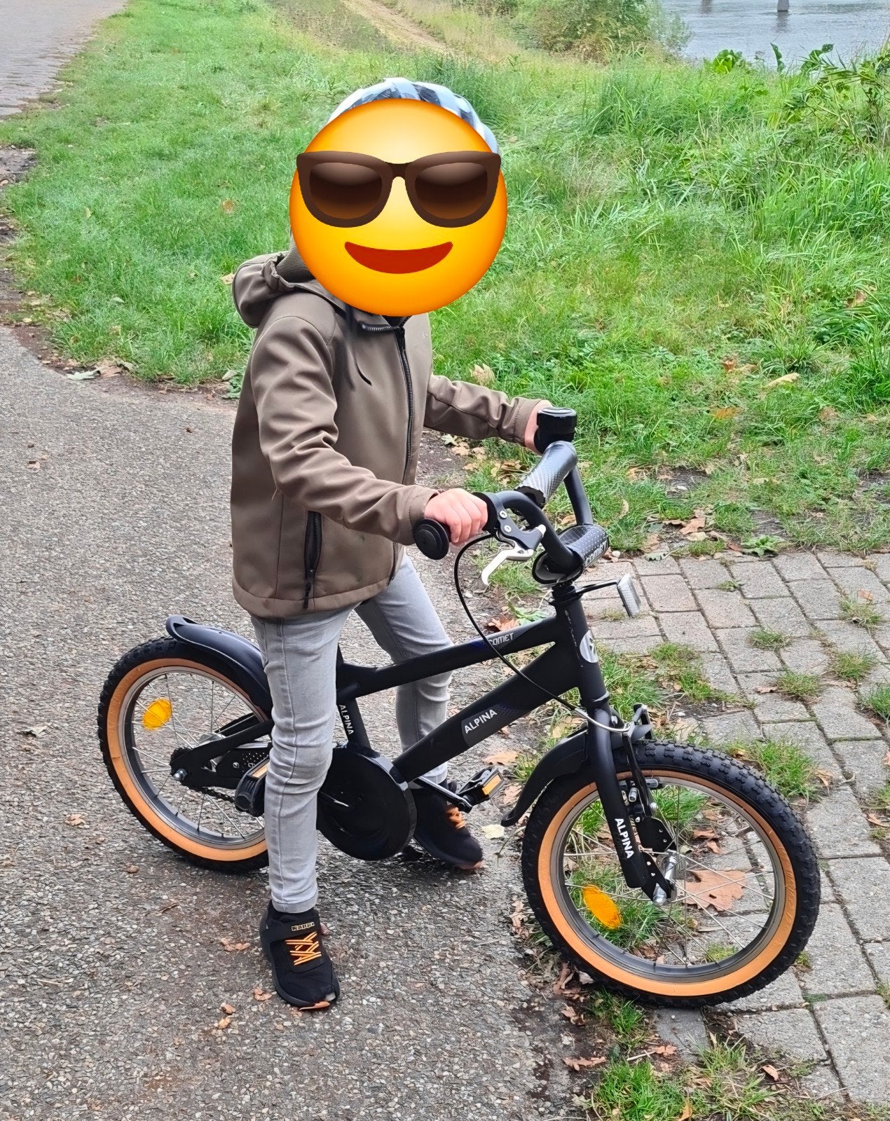 Mooie Alpina fiets, Ophalen, Terugtraprem, Alpina, 16 tot 20 inch