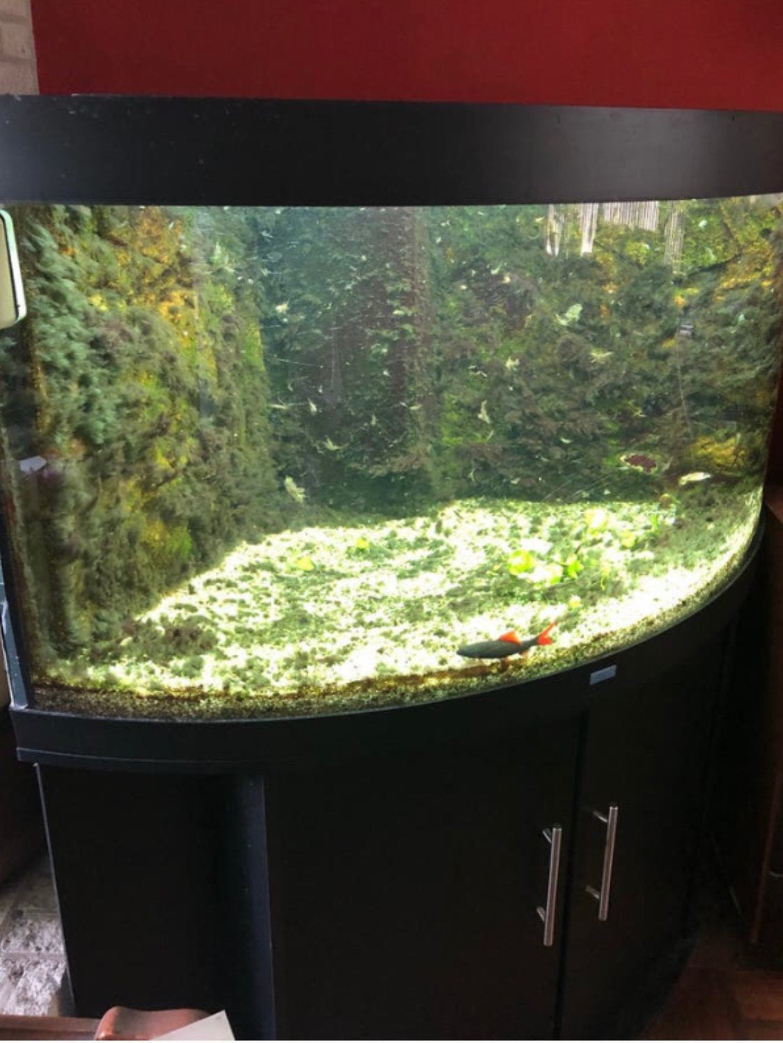 Hilite T5 Juwel aquarium en meubel, Dieren en Toebehoren, Ophalen, Gebruikt, Aquariummeubel, Inclusief toebehoren