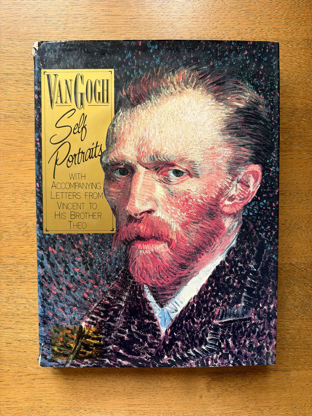 Van Gogh Zelfportretten met brieven aan Theo, Ophalen of Verzenden, Gelezen, Schilder- en Tekenkunst