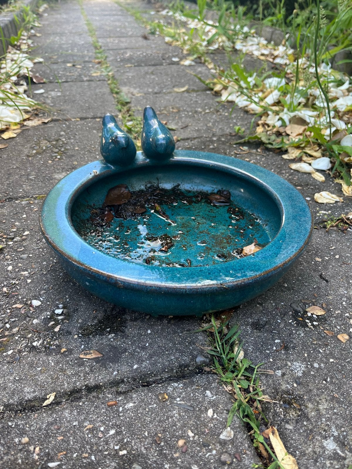 Stenen vogelbadje / waterschaal voor vogels, Ophalen, 4338Pt, Bakje, Gebruikt