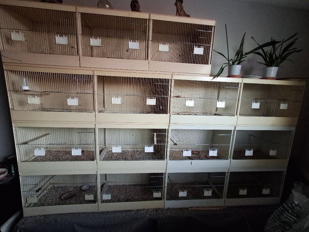 pascal hemel broedkooien kistkooien,kunststof,in 1 koop, Dieren en Toebehoren, Ophalen, Gebruikt, Kunststof, Broedkooi of Kweekkooi