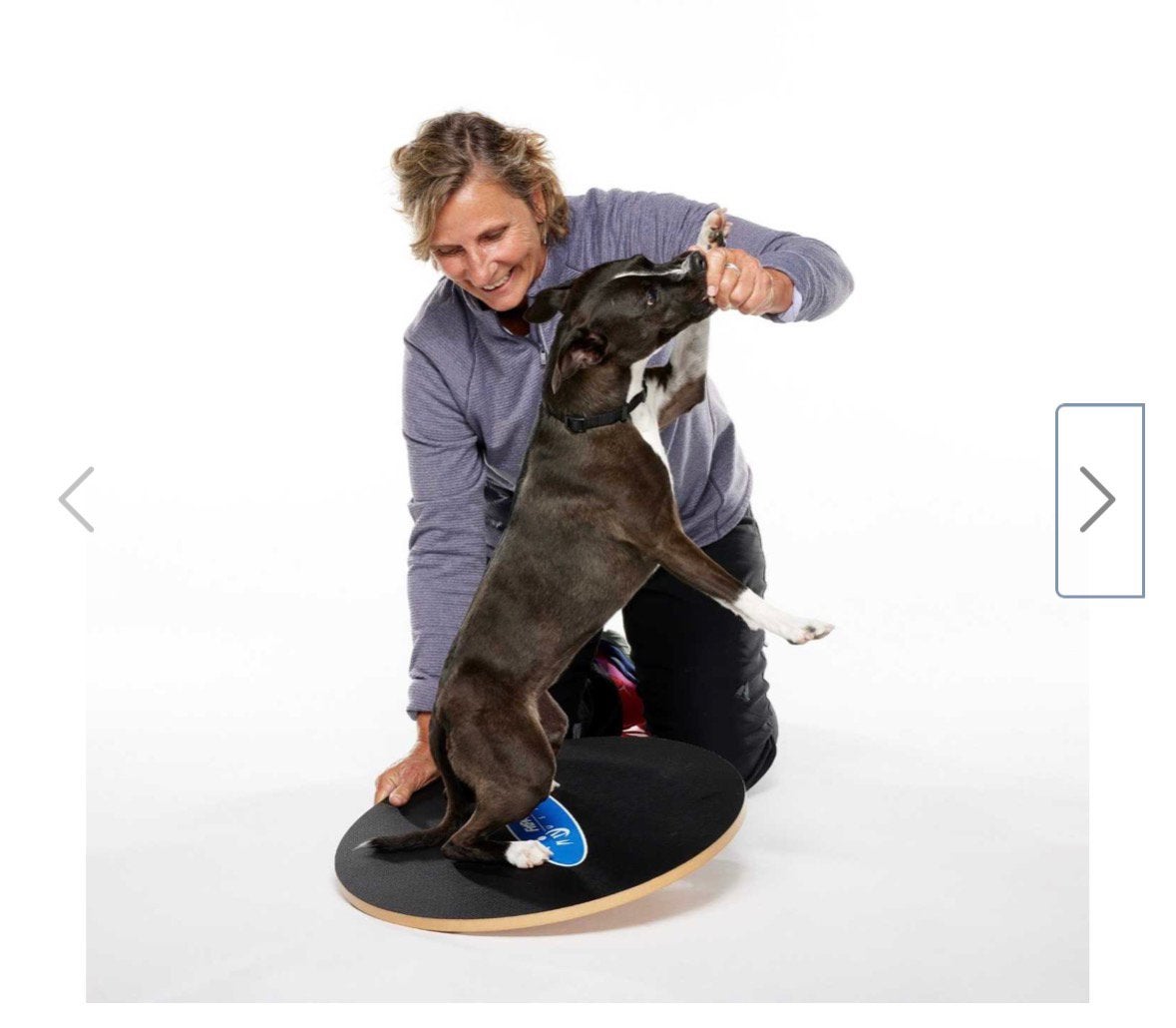 Fitpaws balansboard balanskussen groot NIEUW, Ophalen of Verzenden, Nieuw