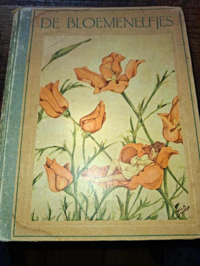 De Bloemen Elfjes - Nellie Donker (1943), Boeken, Ophalen of Verzenden