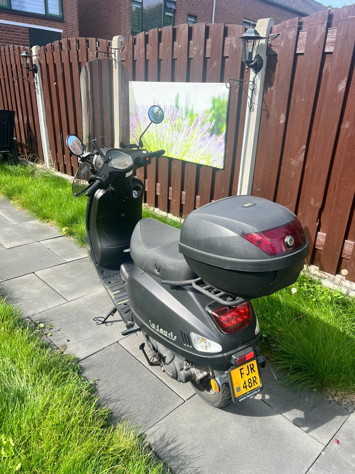 Foto 6 van La Souris Sourini 50cc bromfiets – bouwjaar 2021