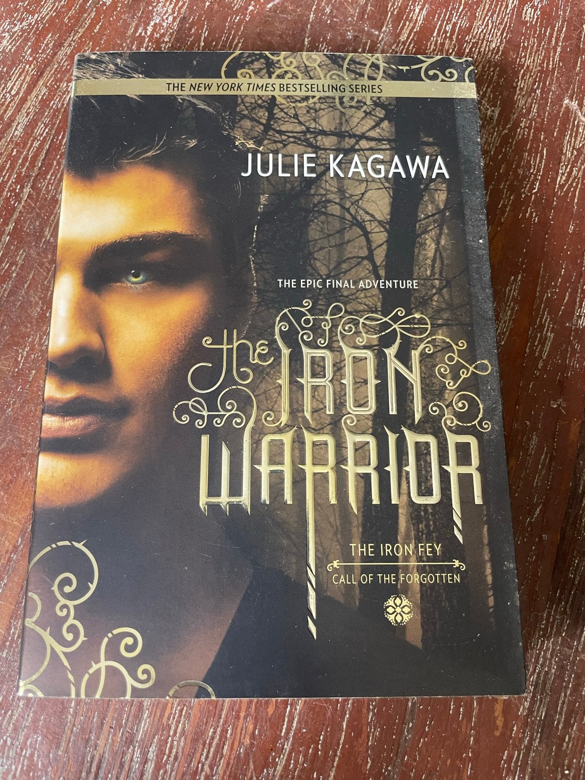 The Iron Warrior - Julie Kagawa (Engels), Ophalen of Verzenden, Gelezen