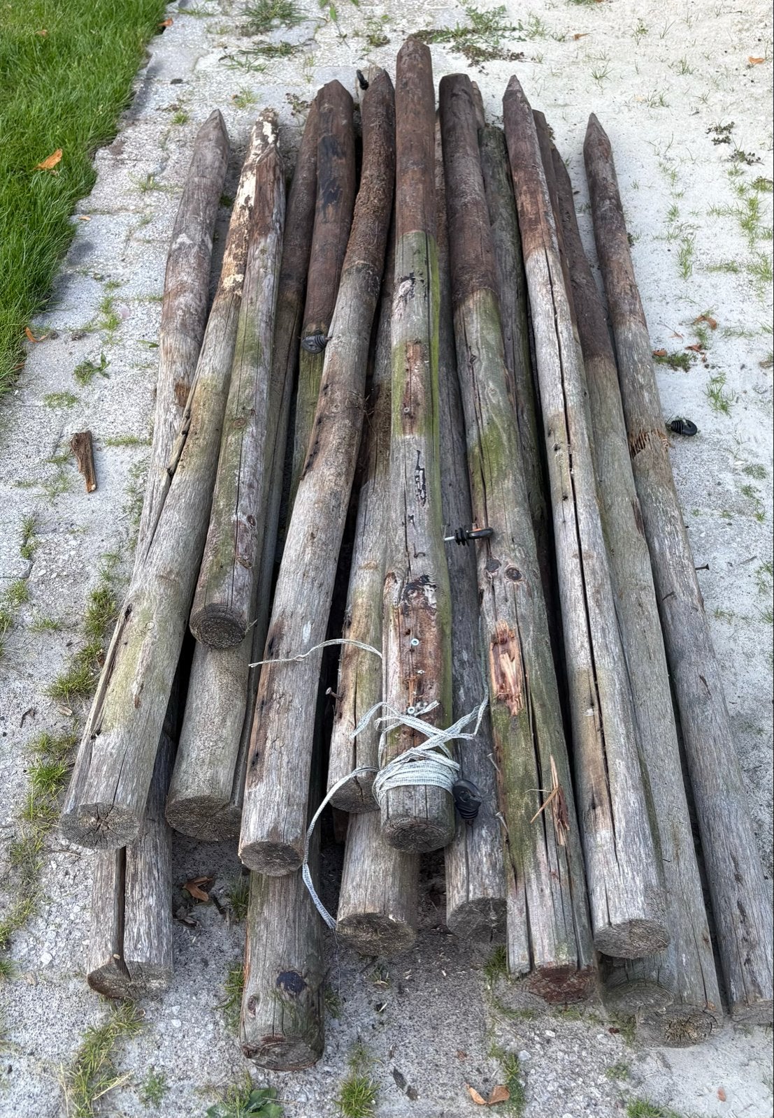 17 Robuuste tuinpalen, circa 2 meter lang, diverse diktes, Tuin en Terras, Ophalen, Gebruikt, 180 tot 250 cm, Palen