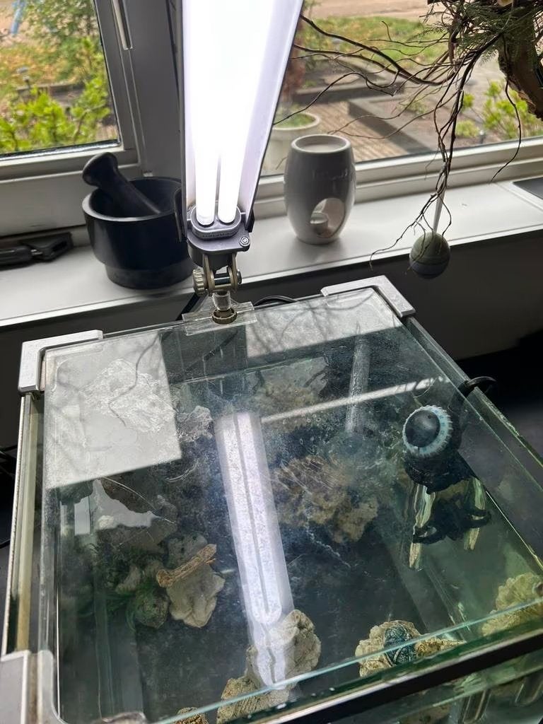Een mooie kleine Aquarium (B30-H30-D30 cm), Ophalen, Gebruikt, Leeg aquarium