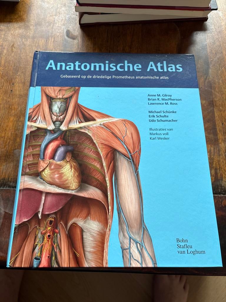 Anatomische Atlas - Gebaseerd op Prometheus, Boeken, Studieboeken en Cursussen, Ophalen of Verzenden, Beta, Zo goed als nieuw