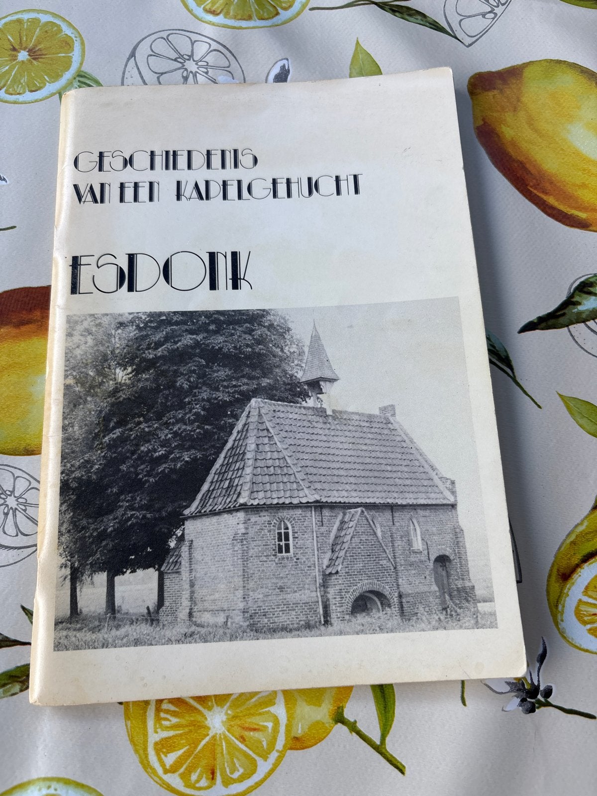 Geschiedenis van een kapelgehucht: Esdonk (1981), Ophalen of Verzenden, 20e eeuw of later, Gelezen