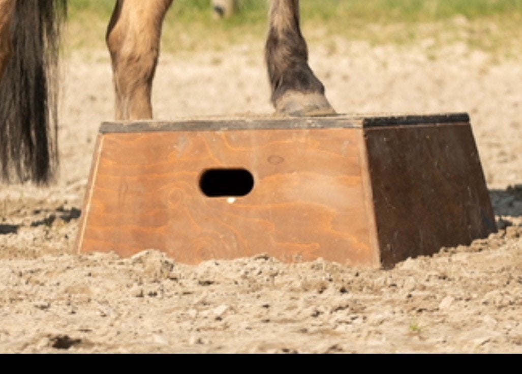 Passablo vrijheidsdressuur blok square, Dieren en Toebehoren, Paarden en Pony's | Overige Paardenspullen, Ophalen, Zo goed als nieuw