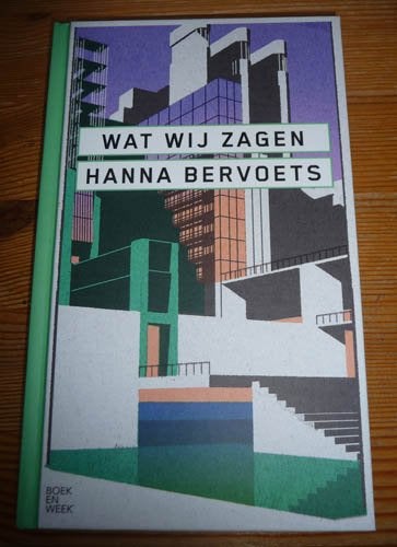 Boek HANNA BERVOETS - Wat wij zagen, Boeken, Ophalen of Verzenden, Nieuw