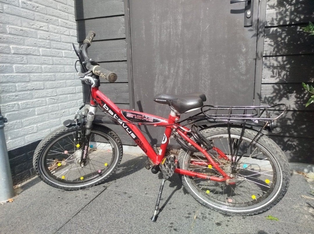 Batavus Snake kinderfiets - 20 inch, Ophalen, Gebruikt, Batavus, Terugtraprem