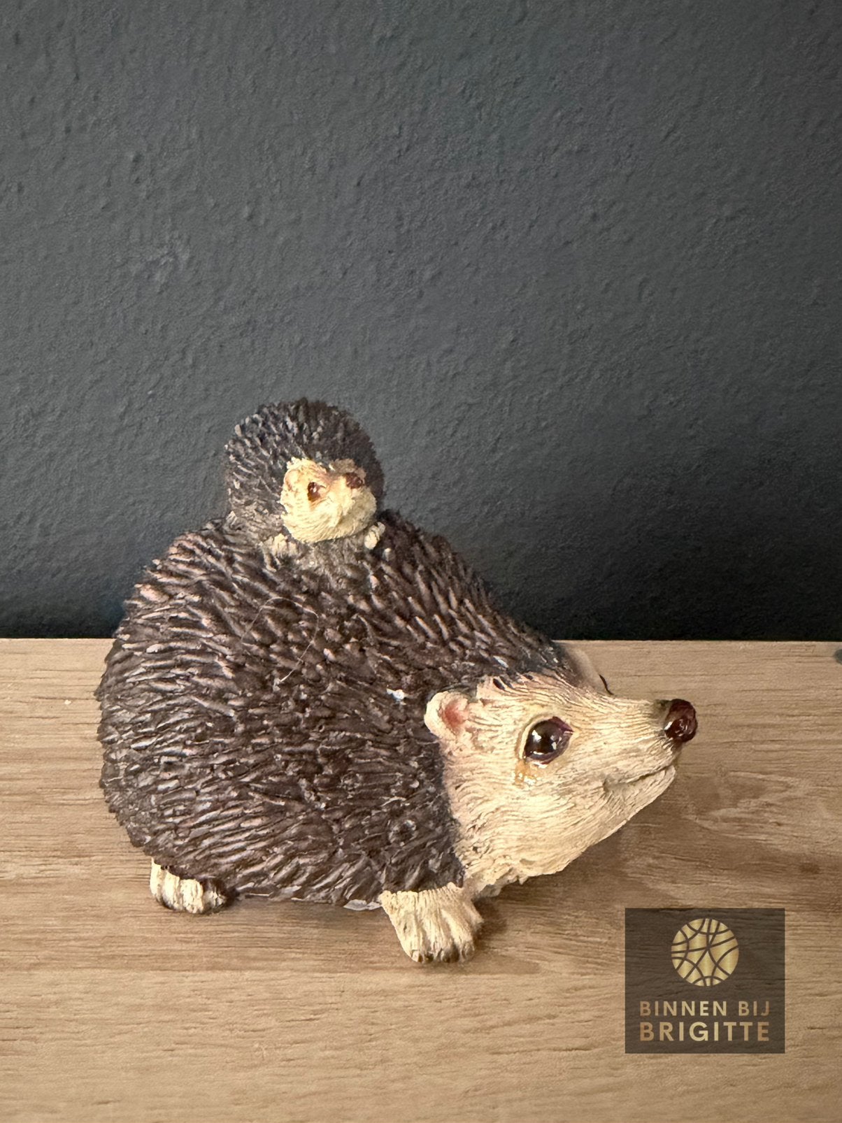 Decoratie egel met kind, Nieuw, Kunststof, Ophalen of Verzenden, X