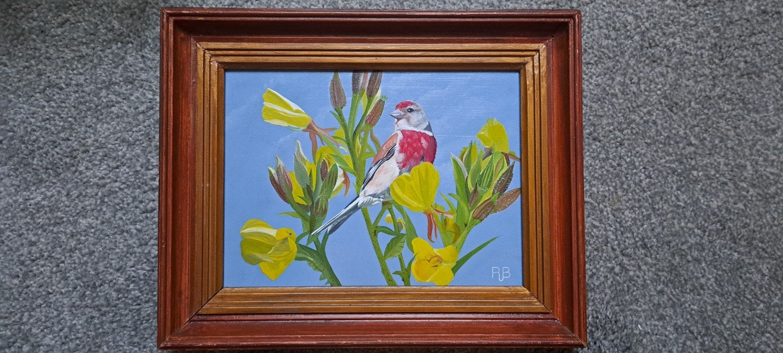 Kneu op bloeiende teunisbloem - Acrylverf op paneel, Antiek en Kunst, Kunst | Schilderijen | Klassiek, Ophalen of Verzenden