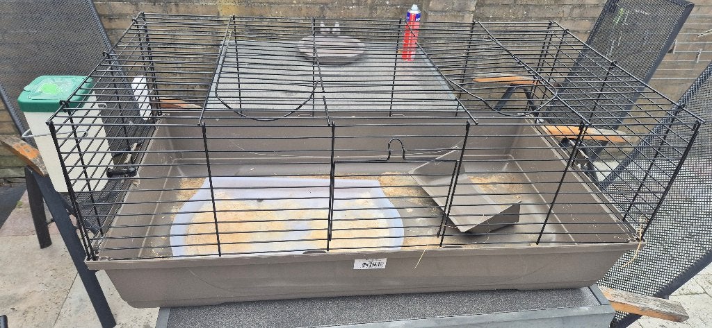 Konijnenhok, Dieren en Toebehoren, Konijnen, Vrouwelijk, Groot, 3 tot 5 jaar