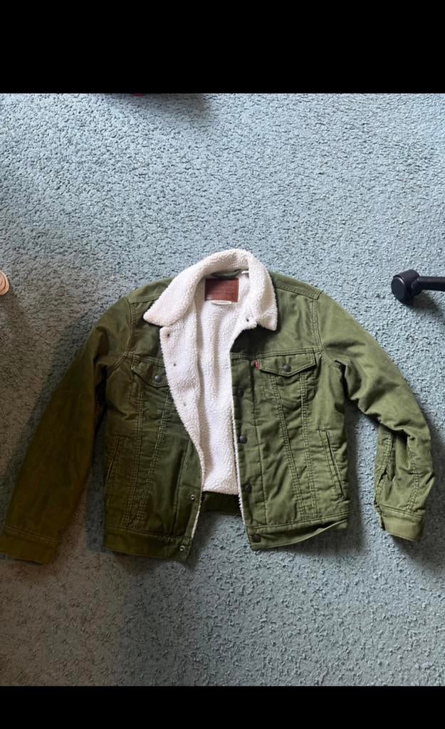 Levis lente doordraag jas, Verzenden, Zo goed als nieuw, Maat 46 (S) of kleiner, Groen