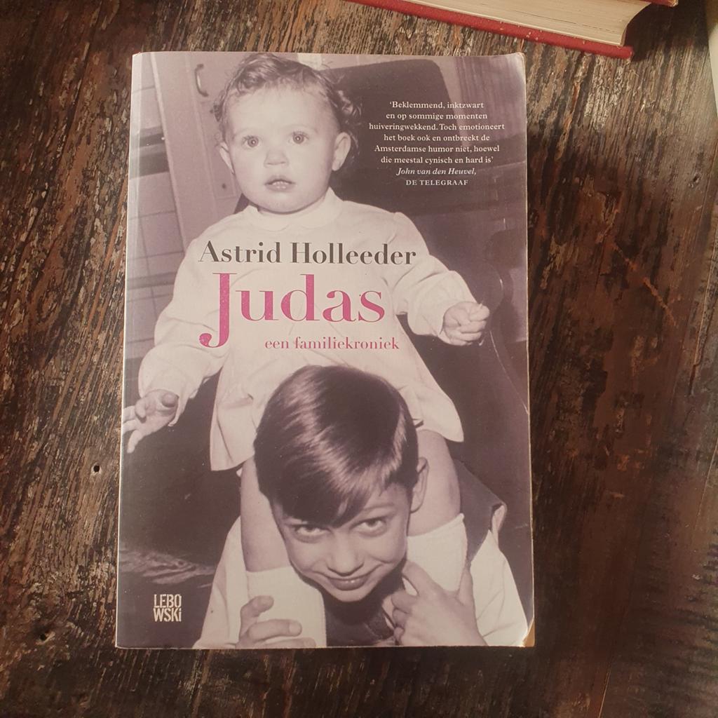 Astrid Holleeder - Judas: Een Familiekroniek, Boeken, Ophalen of Verzenden