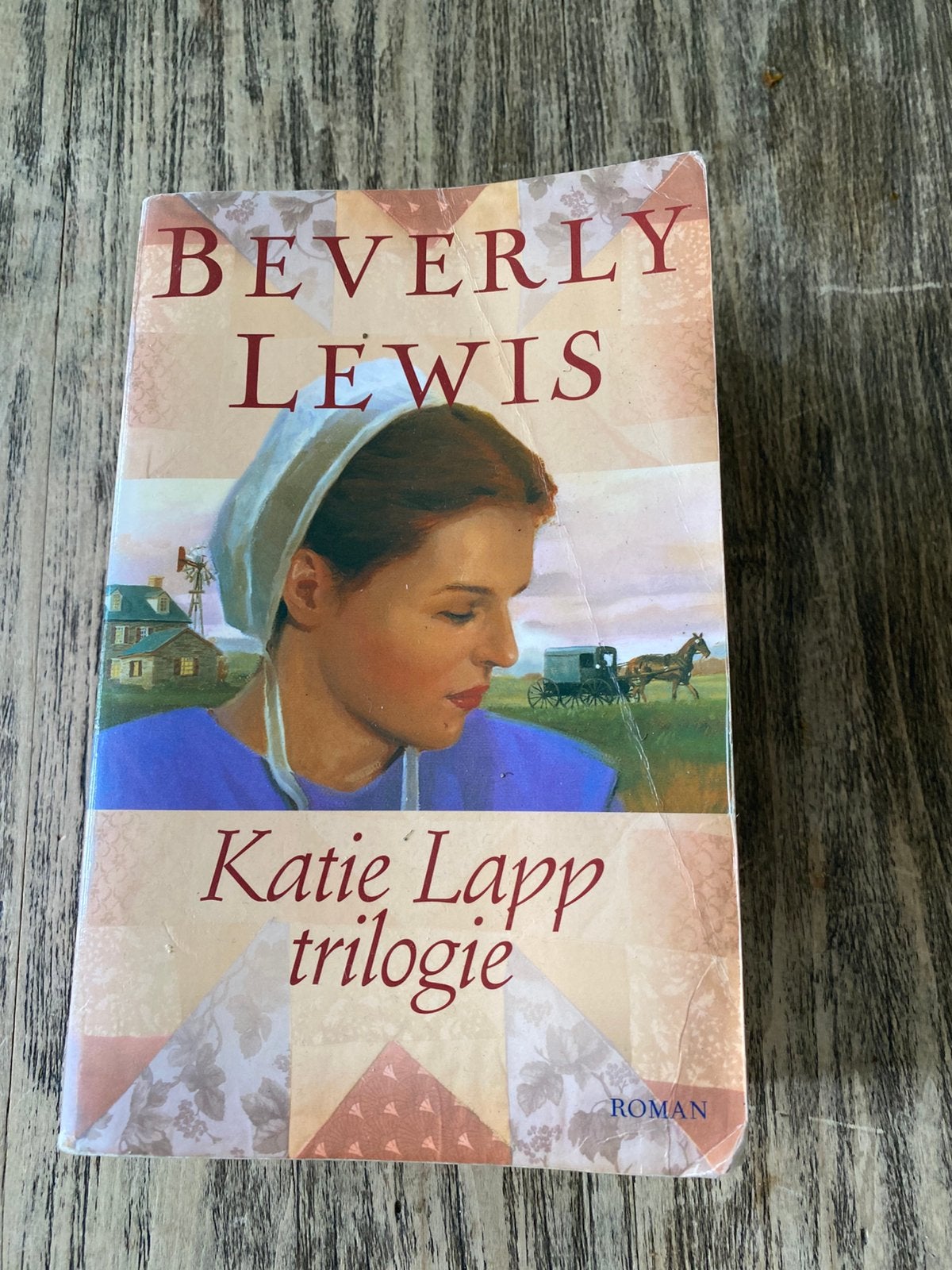 Beverly Lewis Katie Lapp trilogie, Boeken, Streekboeken en Streekromans, Ophalen of Verzenden, Gelezen