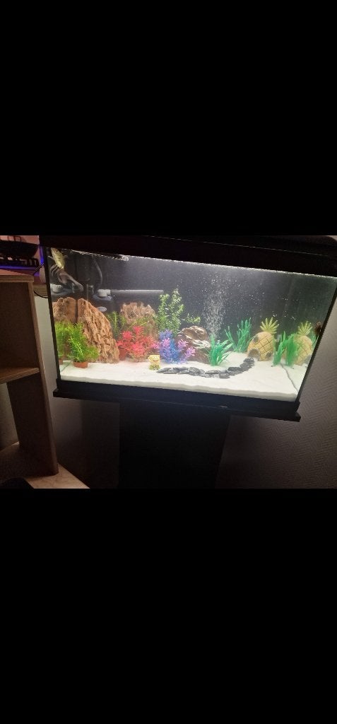 Aquarium, Ophalen, Verwarming, Aquatlantis, Zo goed als nieuw