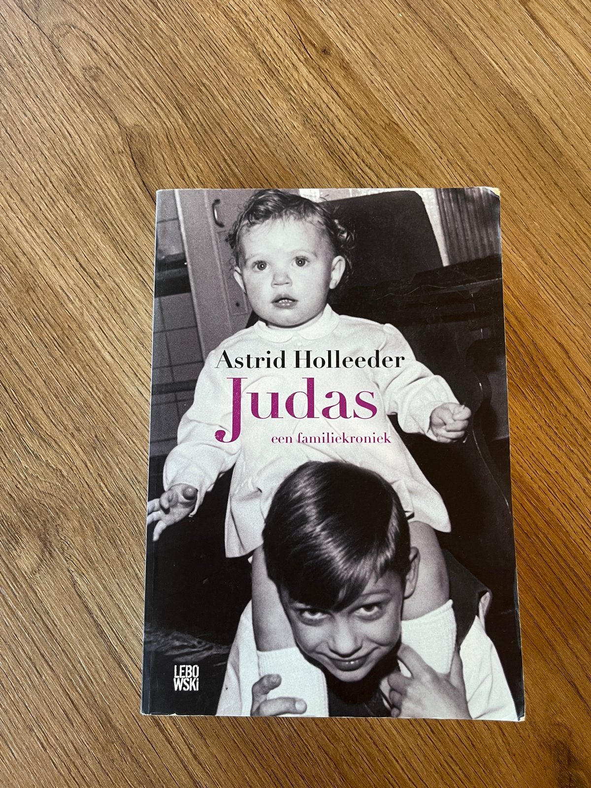 Judas - Astrid Holleeder (een familiekroniek), Ophalen of Verzenden, Gelezen, Overige