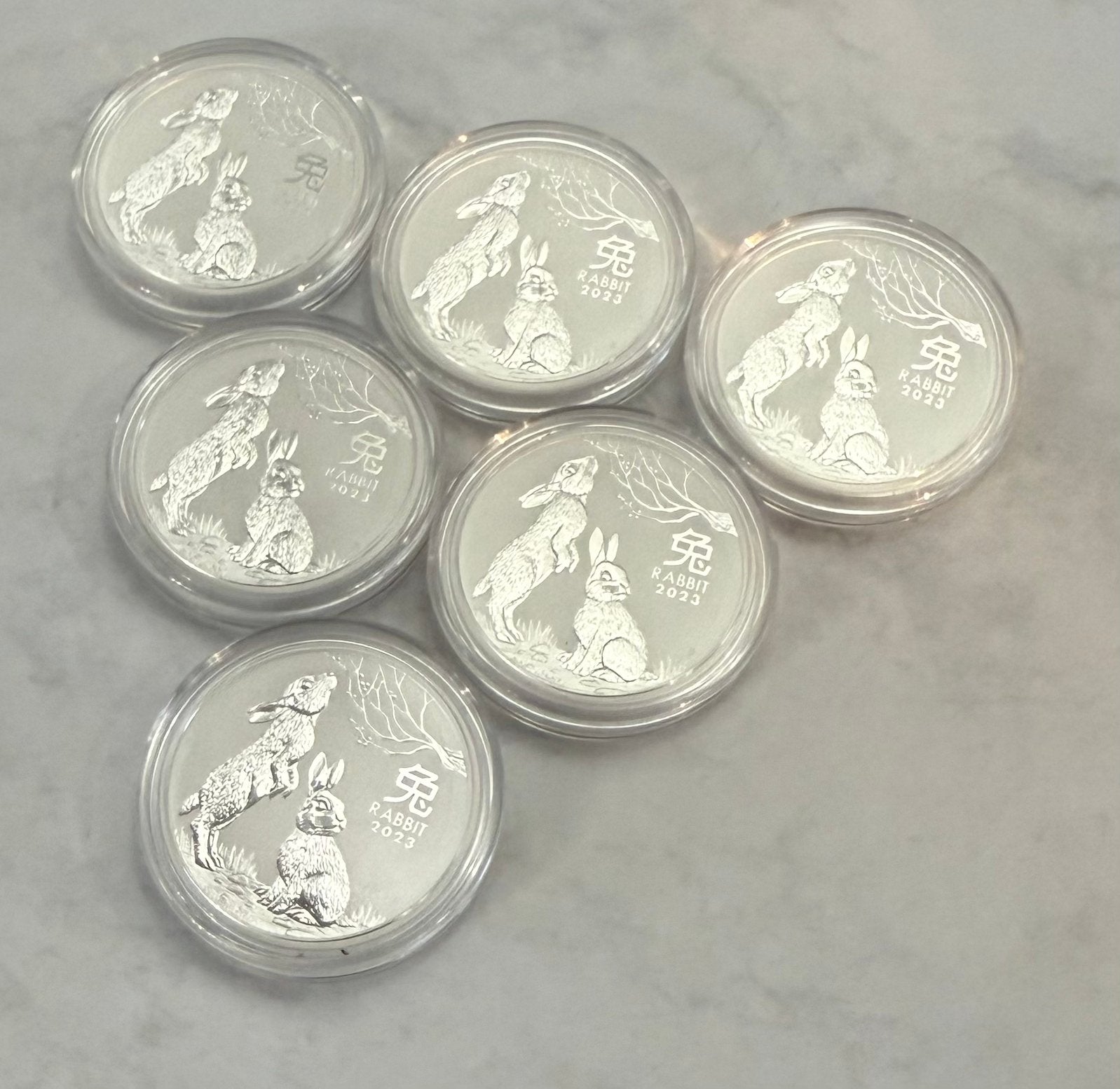 6x 1/2oz 2023 Australian Lunar / Rabbit Haas 999 zilver, Postzegels en Munten, Munten | Oceanië, Ophalen of Verzenden, Zilver