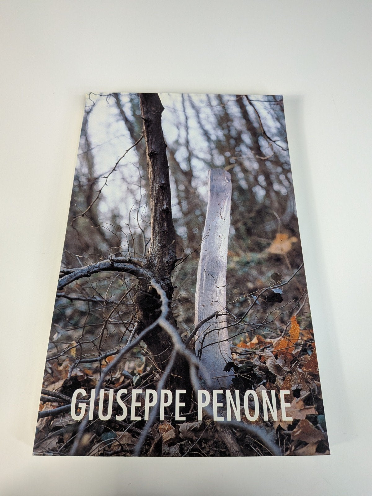 Giuseppe Penone, Ophalen of Verzenden, Gelezen, Overige onderwerpen