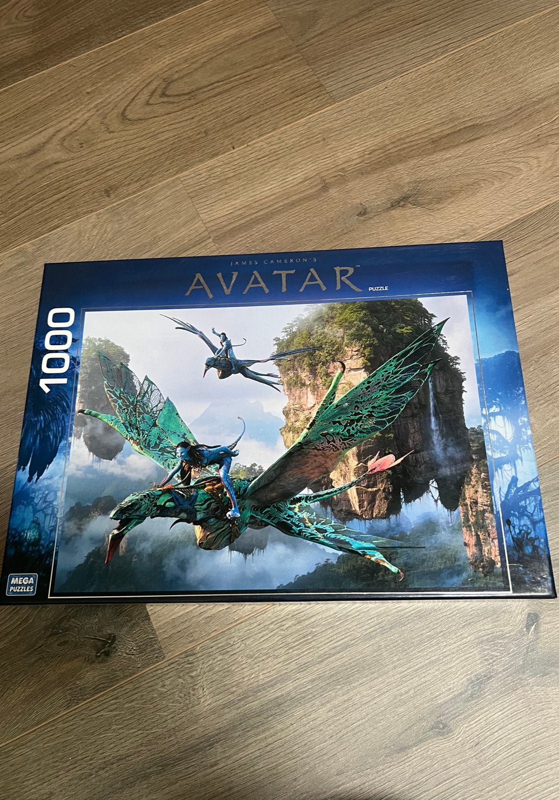 Avatar puzzel 1000 stukjes, Ophalen, 500 t/m 1500 stukjes, Zo goed als nieuw