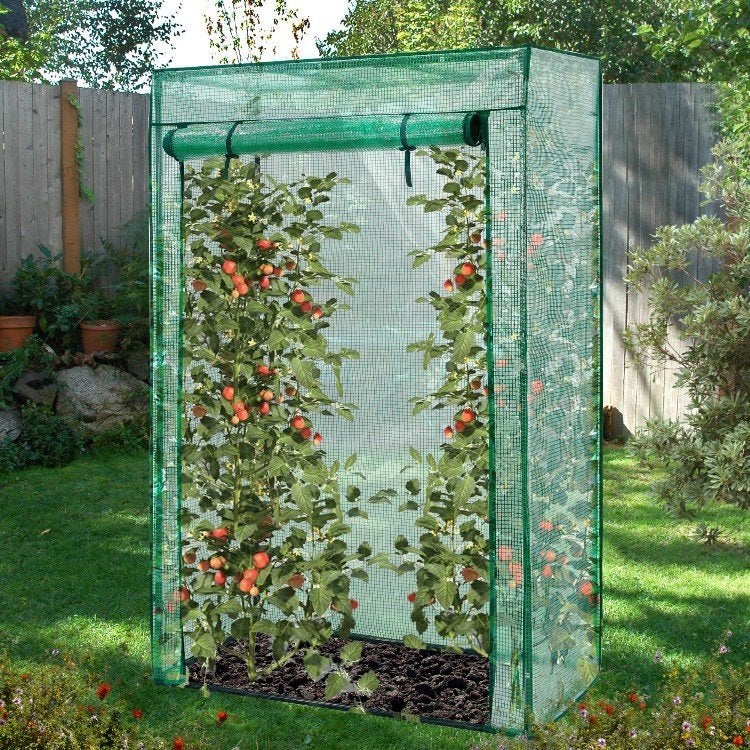 Broeikas | Tomatenkas | Tuinkas | Foliekas | 100x50x150cm |, 100 tot 150 cm, Info@lendo-online.eu, 25 tot 50 cm, Groen
