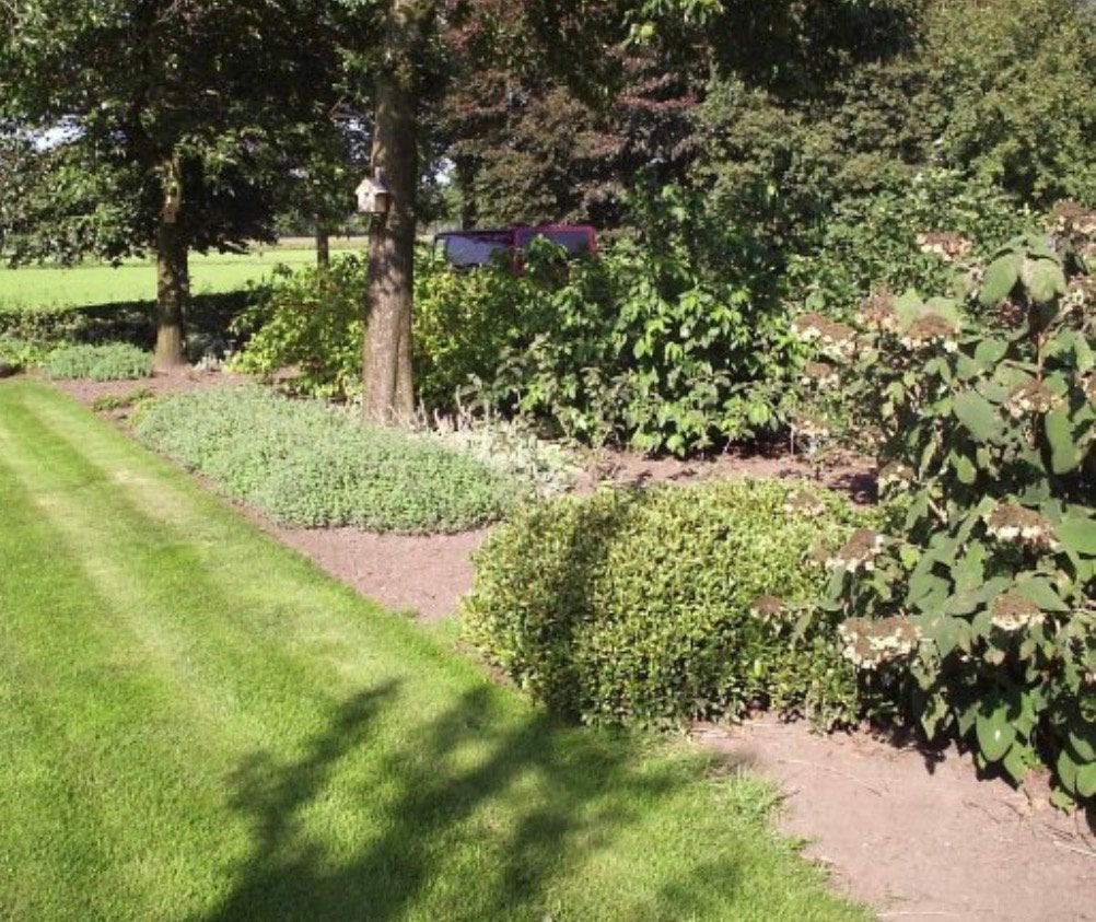 Tuin en terras onderhouden | snoeien | onkruid verwijderen, Ophalen, 20 m² of meer