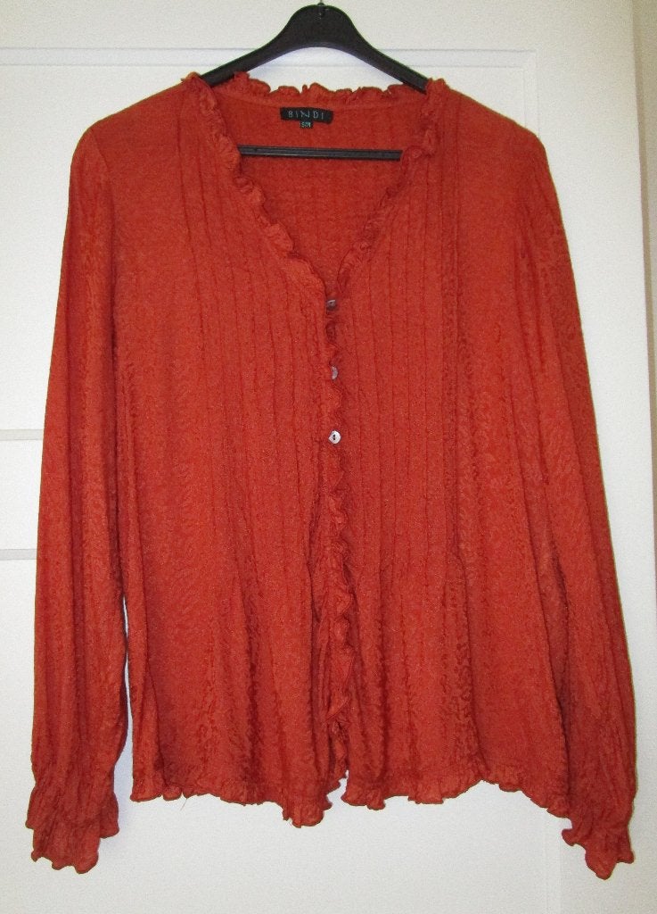 Bindi blouse lange mouwen -najaar- S/M (40-42?) Terra Cotta, Kleding | Dames, Maat 38/40 (M), Bruin, Bindi, Ophalen of Verzenden