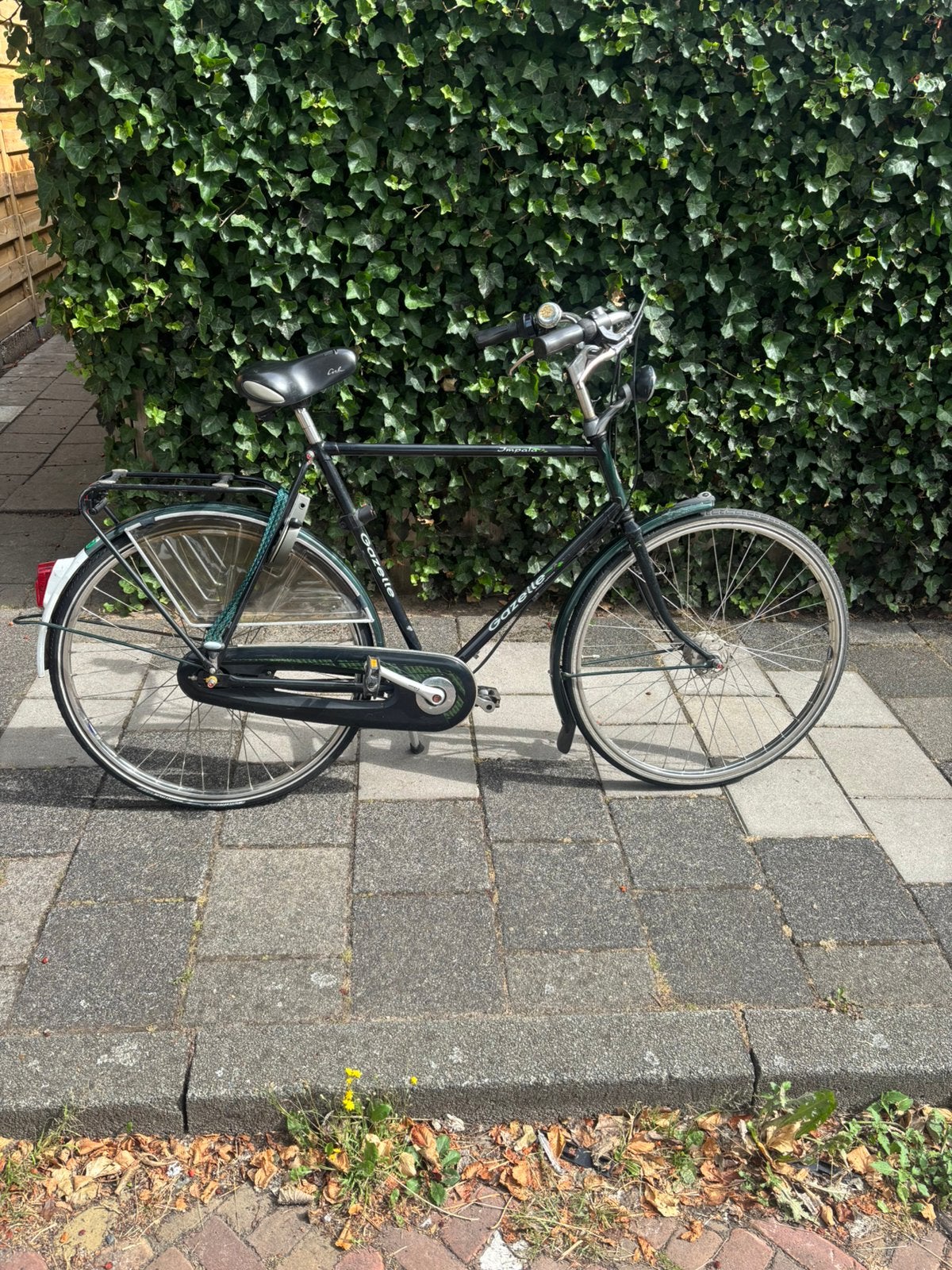 Mooie Gazelle Impala Herenfiets, 59 cm of meer, Ophalen